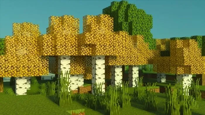 Yellow Birch Screenshot