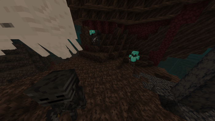 Wither Skeleton in Soul Sand Valley biome