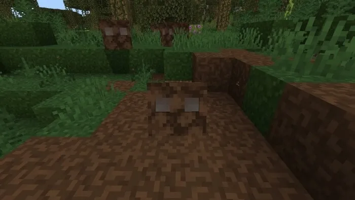 Mud Cube