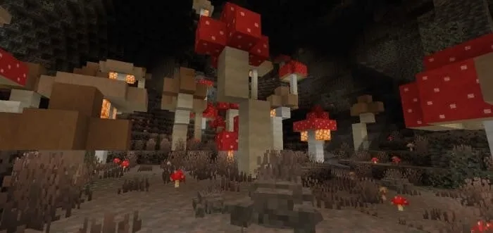 Mushroom Cave