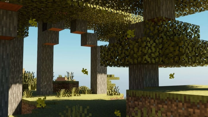 Acacia Leaves Screenshot