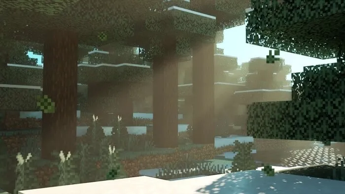 Spruce Leaves Screenshot