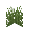 Grass