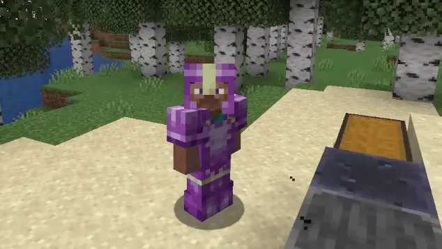Player With Enderite Armor
