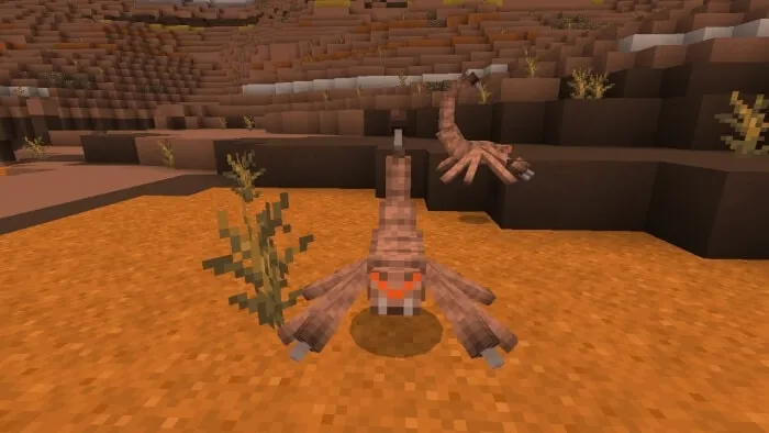 Badlands Scorpion