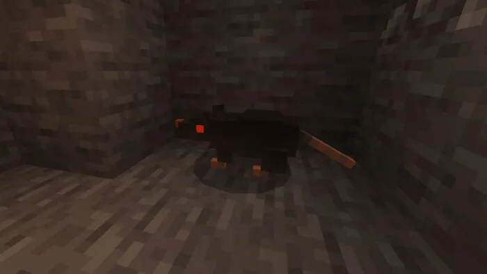 Cursed Rat