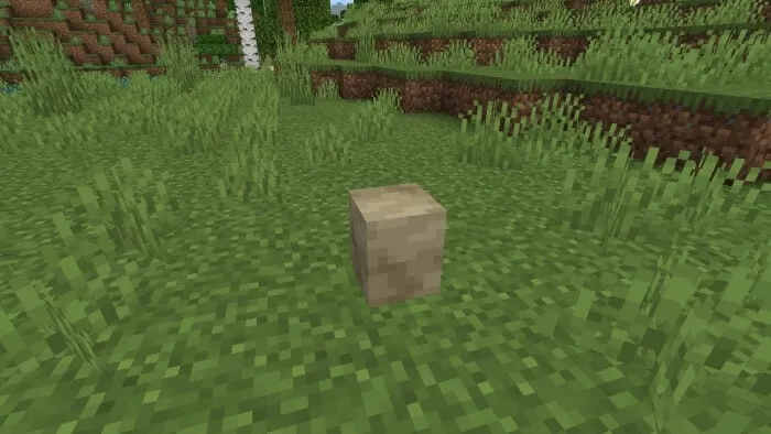 Moa Egg: Screenshot