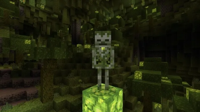 Mossy Skeleton