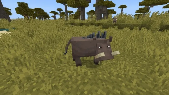 Warthog