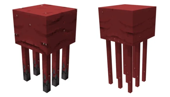 Future Update Entity: Image 3
