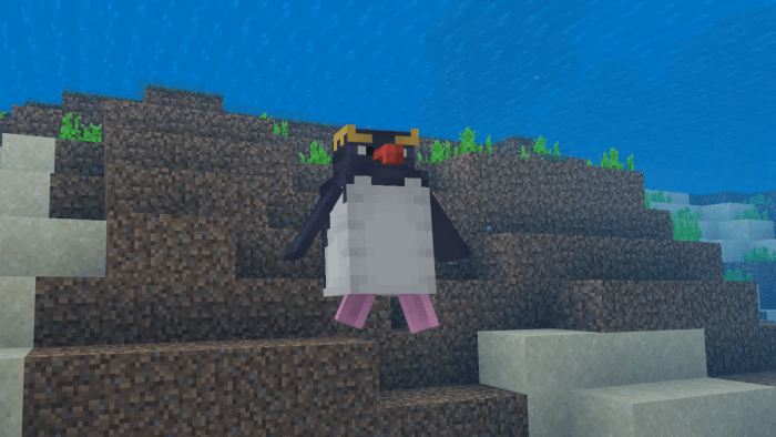 Penguin underwater