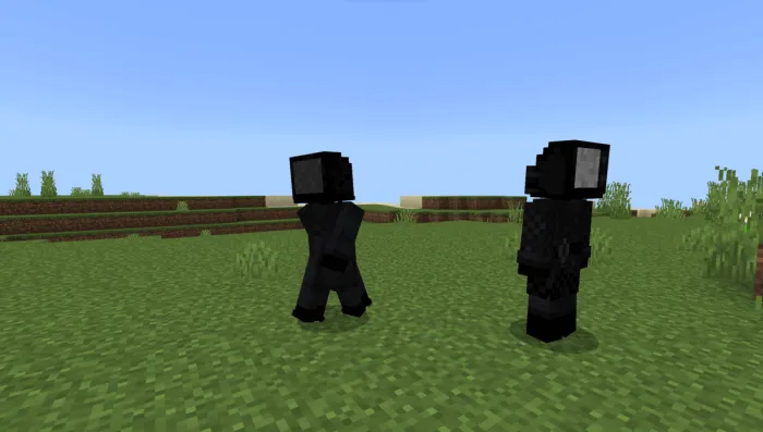 TV Man and TV Woman