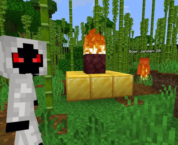 Mysterious Entity and a Herobrine Shrine