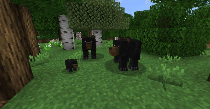Black Bears in the Forest: Screenshot