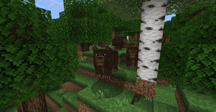 Brown Bears in the Forest: Screenshot