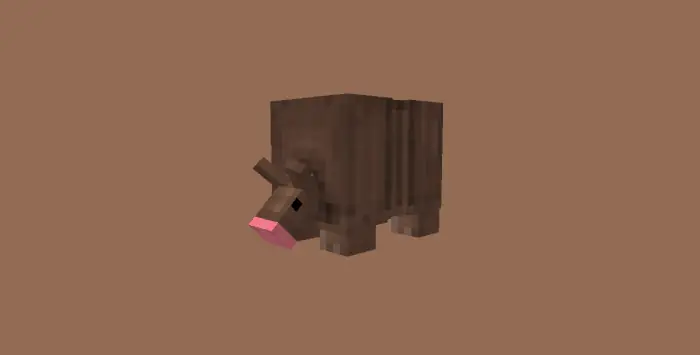 Armadillo Animation