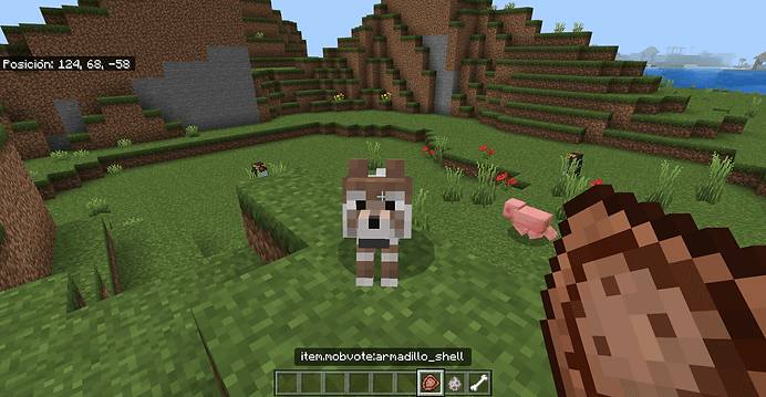 Knoebel on X: Armadillo won the Minecraft Mob Vote 2023.   / X