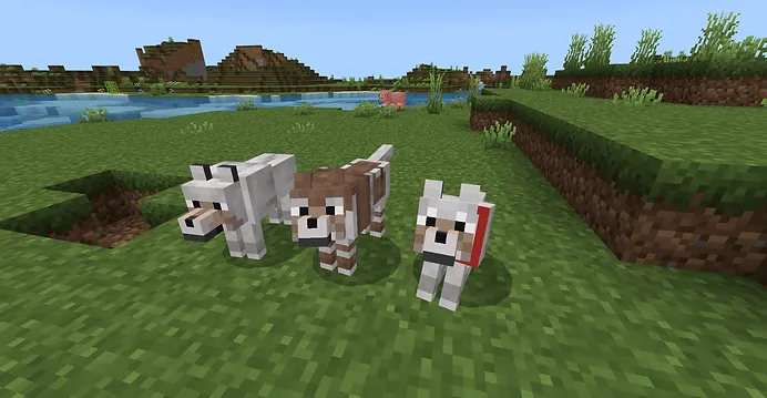 Wolf With Armadillo Shell Screenshot 2