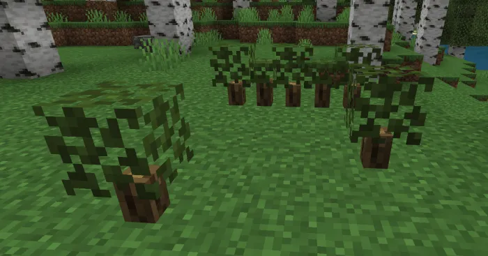 Bush Variants: Screenshot