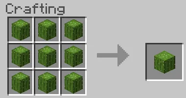 Cactus Block Recipe