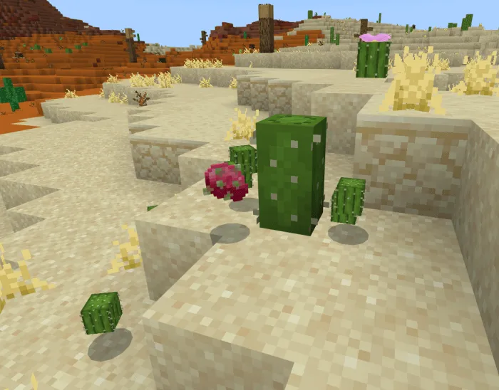 Dragon Fruit: Screenshot