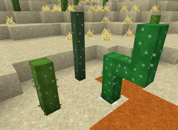 New Cacti Variants: Screenshot