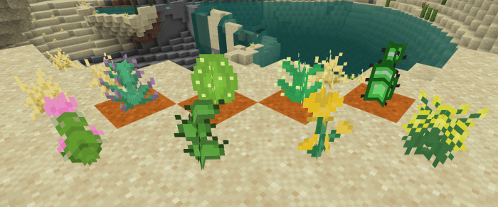 New Desert and Mesa Plants: Screenshot