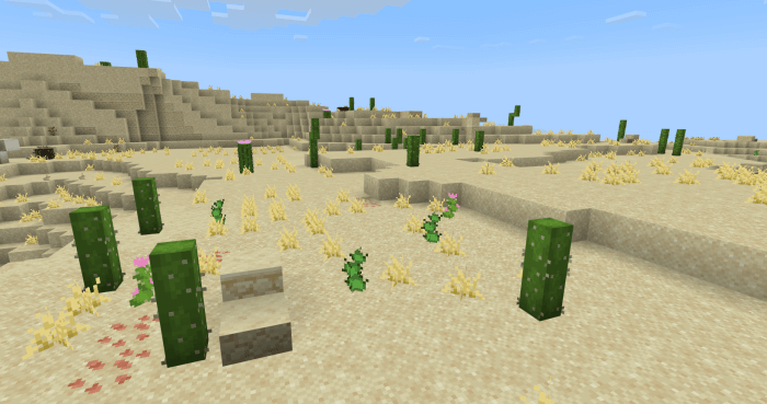 Normal Cacti: Screenshot