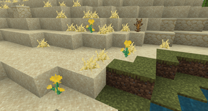 Wildflowers: Screenshot