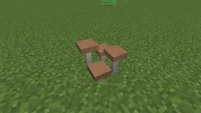 Clump of Brown Mushrooms