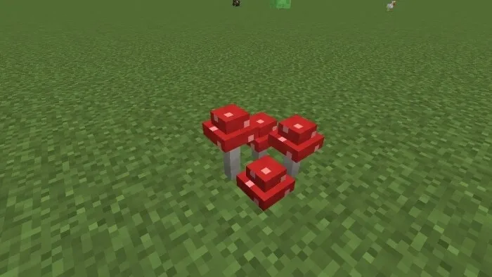 Clump of Red Mushrooms