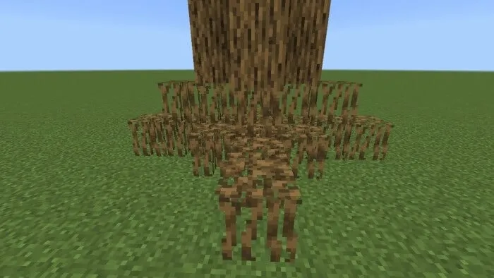 Oak Roots