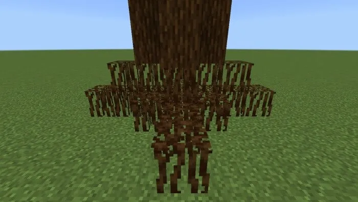 Spruce Roots