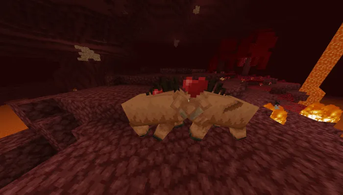 Breeding Piglin Beasts