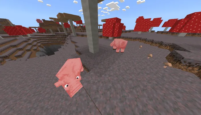 Hogs