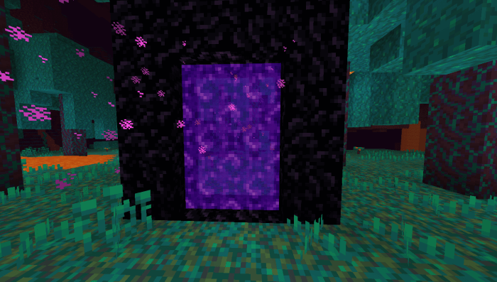 Nether Portal in Warped Forest