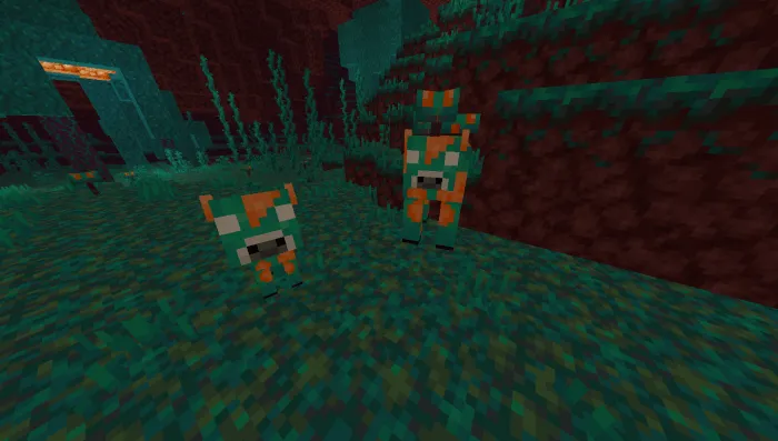Warped Mooshrooms