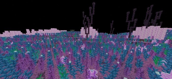 New Shulkers Meadows Biome