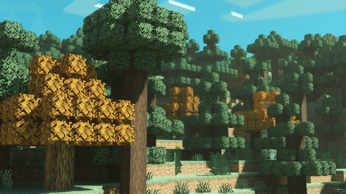 Realistic Forest