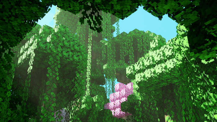 Trees Plus: Screenshot 1