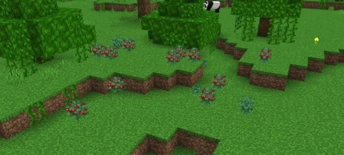 Berry Bushes in Jungle