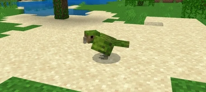 Kakapo