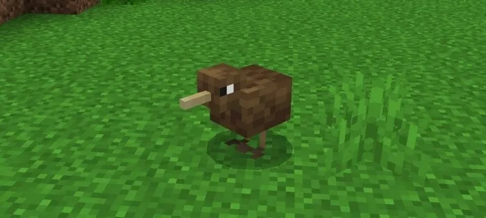 Kiwi