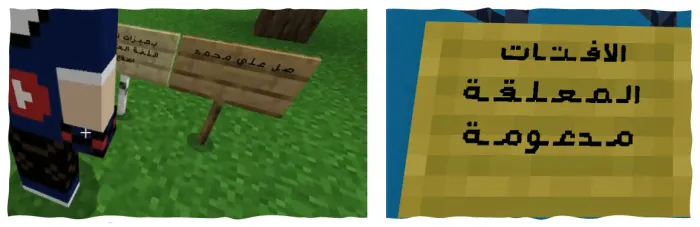 Arabic Text on the Signs
