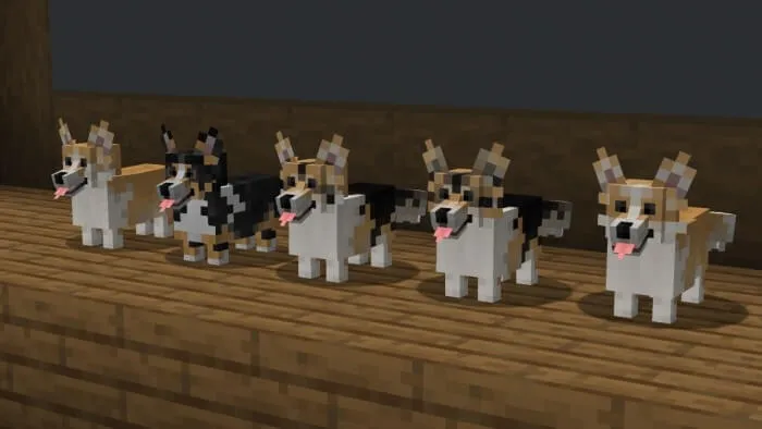 "Corgi" Dog Variants