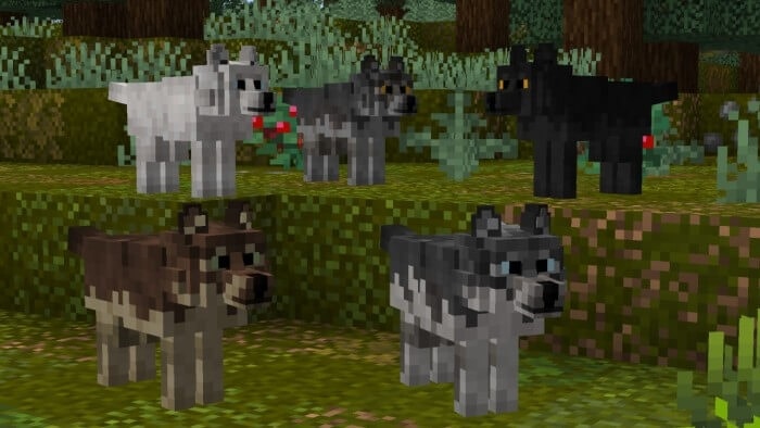 Default Wolf Variants