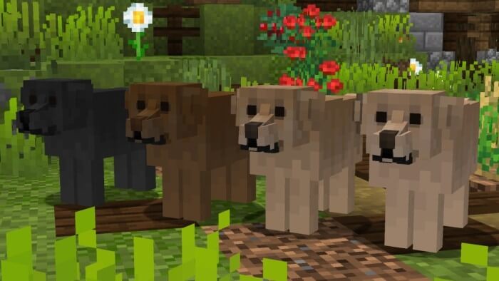 "Lab", "Labrador" or "Labrador Retriever" Dog Variants