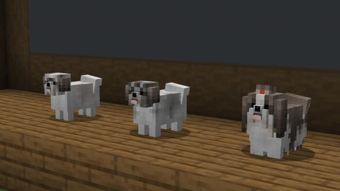 "Shih Tzu" or "Shihtzu" Dog Variants