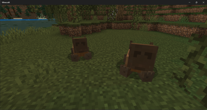 Sitting Capybaras: Screenshot