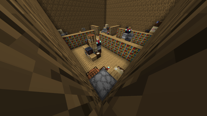 Level 5: Very Untidy Bookcase
